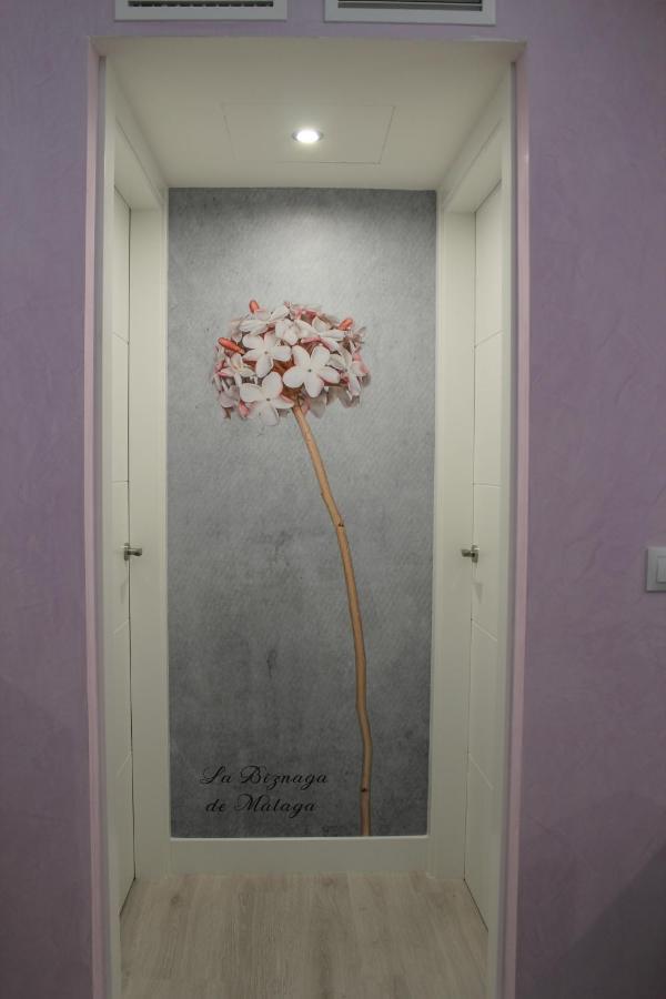 Atico Chill Out La Biznaga Apartment Malaga Luaran gambar